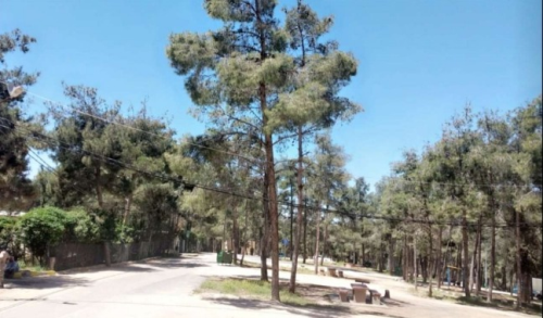Amman National Park